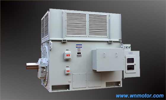 高壓電機(jī) 高壓電機(jī)