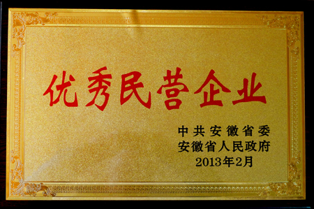 皖南電機(jī)：優(yōu)秀民營(yíng)企業(yè)