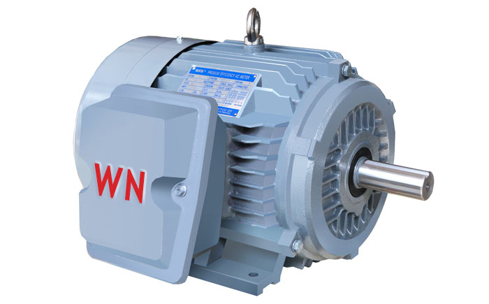 NE系列高效高轉矩三相異步電動機 NE系列高效高轉矩三相異步電動機