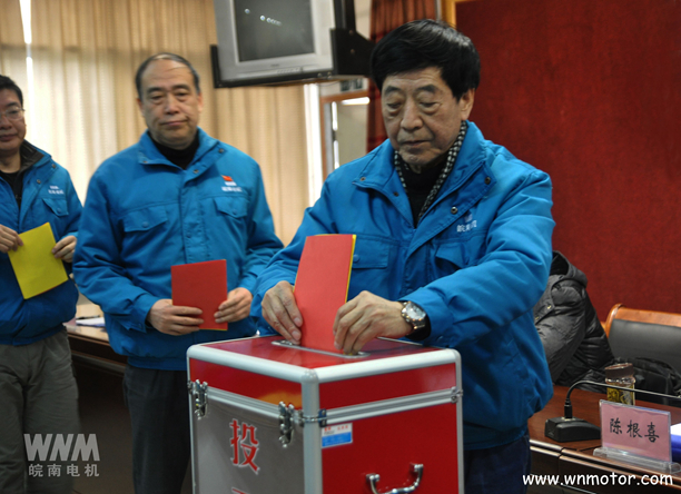 皖南電機(jī)陳根喜、管兵在投票現(xiàn)場