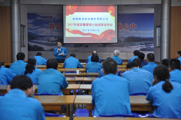 皖南電機:總經(jīng)理陳學鋒作總結講話 皖南電機:總經(jīng)理陳學鋒作總結講話