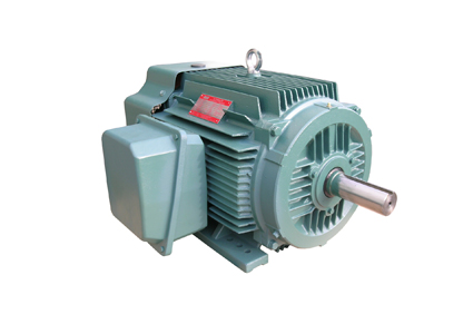 NEP系列超高效率三相異步電動(dòng)機(jī) NEP系列超高效率三相異步電動(dòng)機(jī)