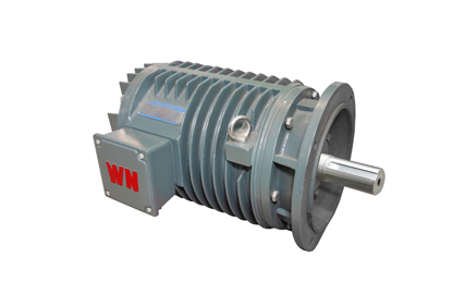 YG系列輥道用調(diào)速三相異步電動機 YG系列輥道用調(diào)速三相異步電動機