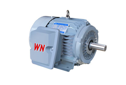 NE系列高效高轉(zhuǎn)矩三相異步電動機(jī) NE系列高效高轉(zhuǎn)矩三相異步電動機(jī)